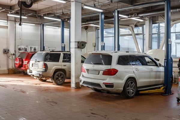 Авангард plus
