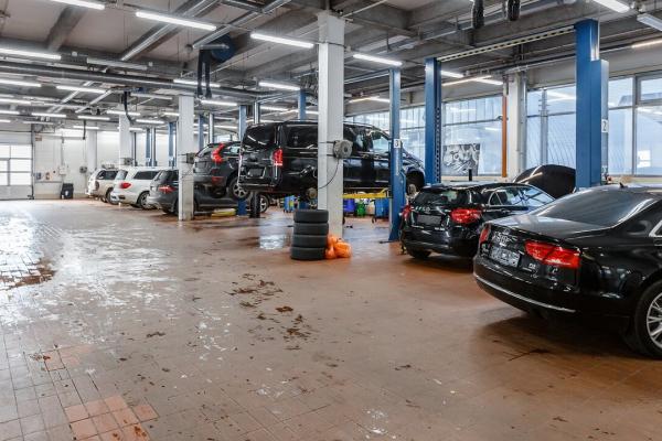 Авангард plus