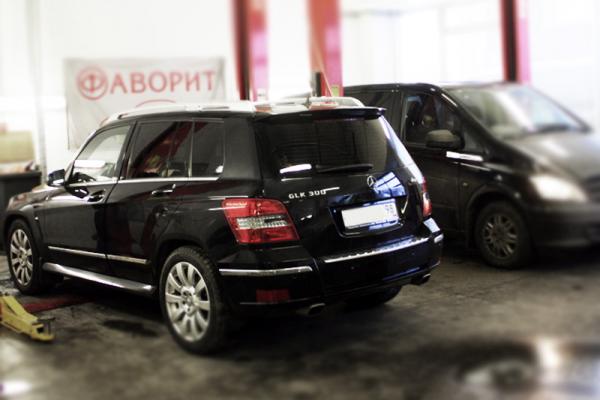 Фаворит